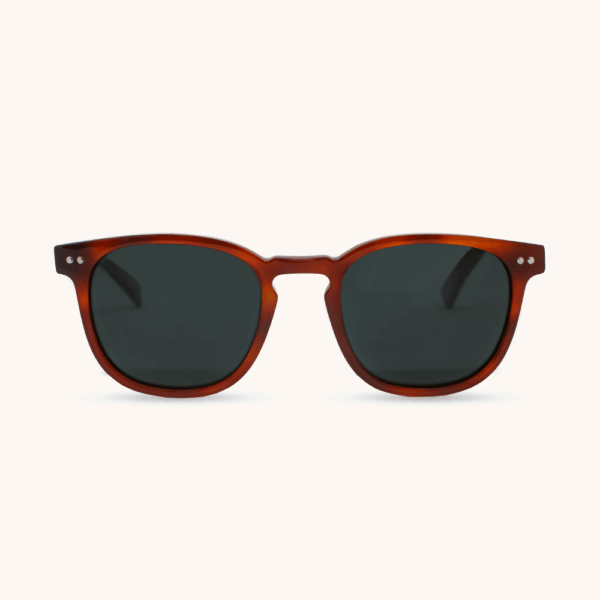 משקפי שמש Mabie - Classic Smog Tortoise